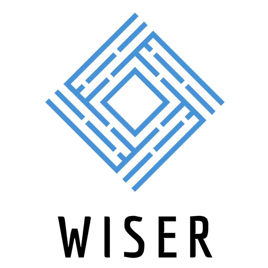 Logo WISER: Ein blaues Labyrinth.